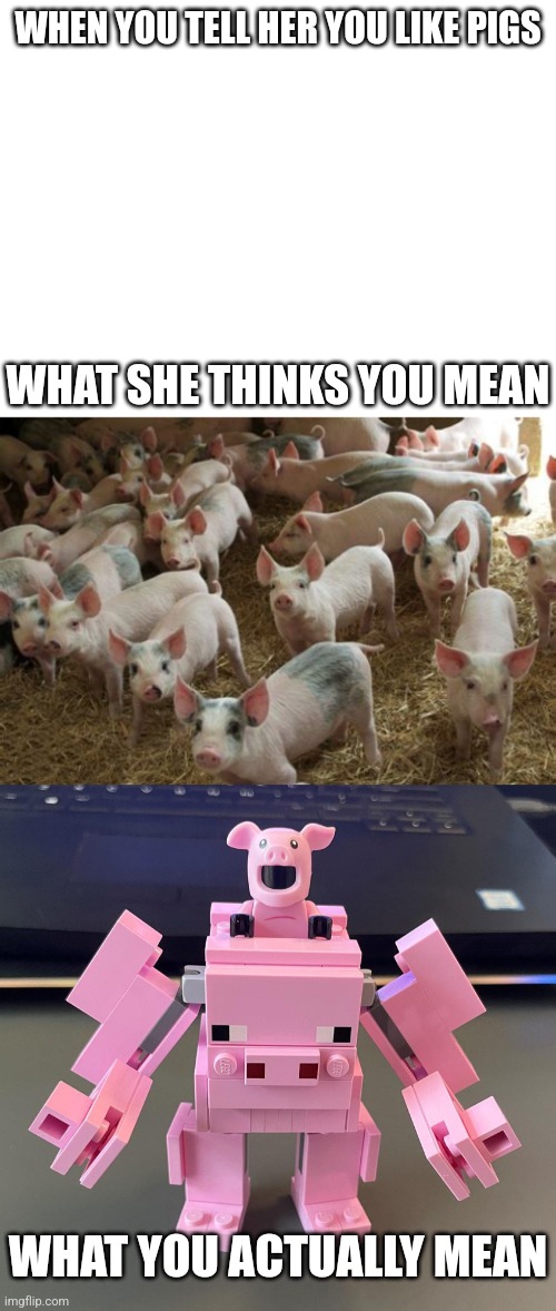 WHEN YOU TELL HER YOU LIKE PIGS; WHAT SHE THINKS YOU MEAN; WHAT YOU ACTUALLY MEAN | image tagged in blank white template | made w/ Imgflip meme maker