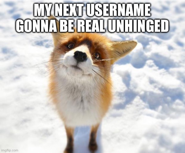 What Does The Fox Say? | MY NEXT USERNAME GONNA BE REAL UNHINGED | image tagged in what does the fox say | made w/ Imgflip meme maker