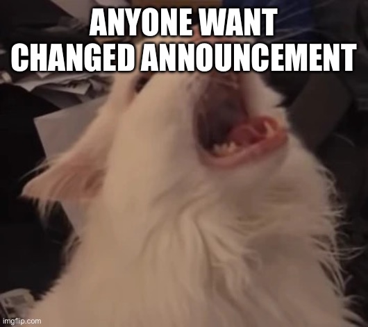 Meow | ANYONE WANT CHANGED ANNOUNCEMENT | image tagged in meow | made w/ Imgflip meme maker