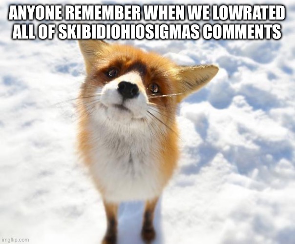 What Does The Fox Say? | ANYONE REMEMBER WHEN WE LOWRATED ALL OF SKIBIDIOHIOSIGMAS COMMENTS | image tagged in what does the fox say | made w/ Imgflip meme maker