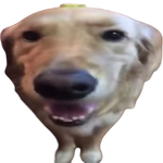 Butter dog Meme Template