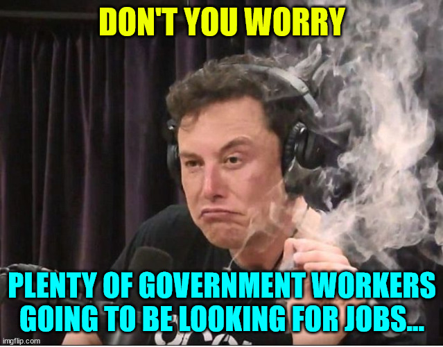 Elon Musk smoking a joint | DON'T YOU WORRY PLENTY OF GOVERNMENT WORKERS GOING TO BE LOOKING FOR JOBS... | image tagged in elon musk smoking a joint | made w/ Imgflip meme maker