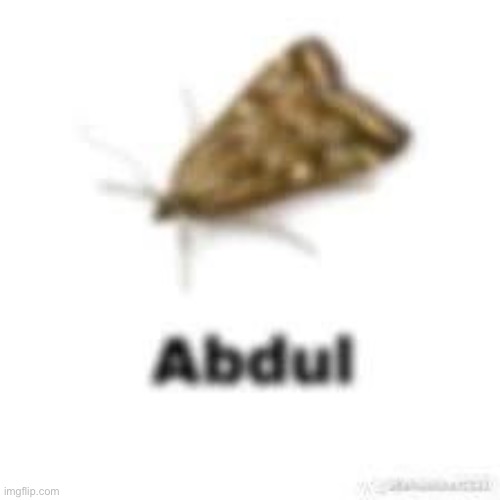 Give me pictures to rate. It can be anything, from a face reveal to a wall | made w/ Imgflip meme maker