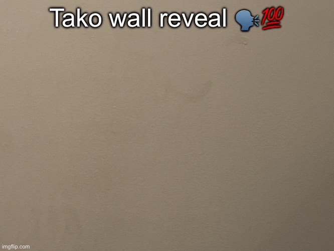 Tako Wall Reveal | Tako wall reveal 🗣️💯 | image tagged in tako wall reveal | made w/ Imgflip meme maker