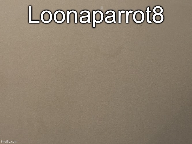 Tako Wall Reveal | Loonaparrot8 | image tagged in tako wall reveal | made w/ Imgflip meme maker