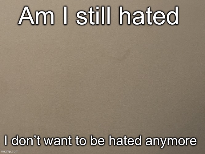 Tako Wall Reveal | Am I still hated; I don’t want to be hated anymore | image tagged in tako wall reveal | made w/ Imgflip meme maker