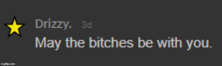 DrizzyPosting, episode 2 | image tagged in may the bitches be with you | made w/ Imgflip meme maker