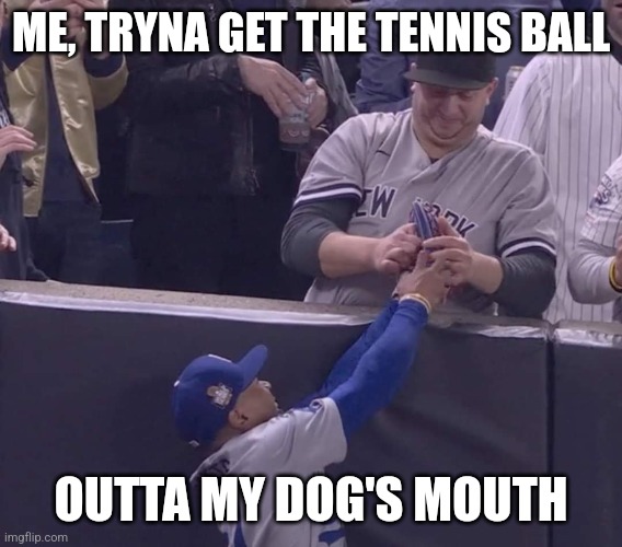 Robbing Mookie | ME, TRYNA GET THE TENNIS BALL; OUTTA MY DOG'S MOUTH | image tagged in baseball,world series,dogs | made w/ Imgflip meme maker