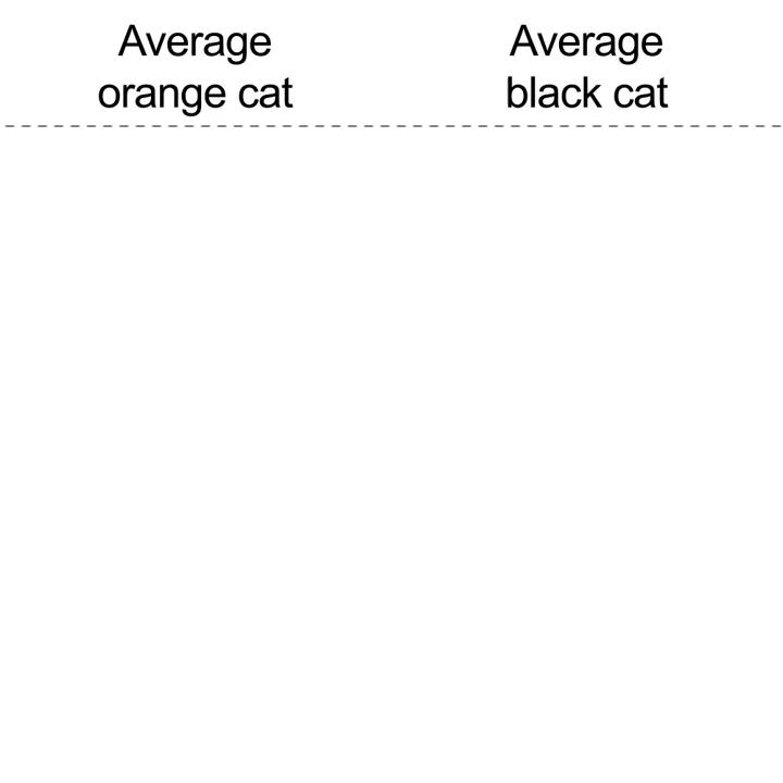 Average Orange Cat vs. Average Black Cat template Blank Meme Template