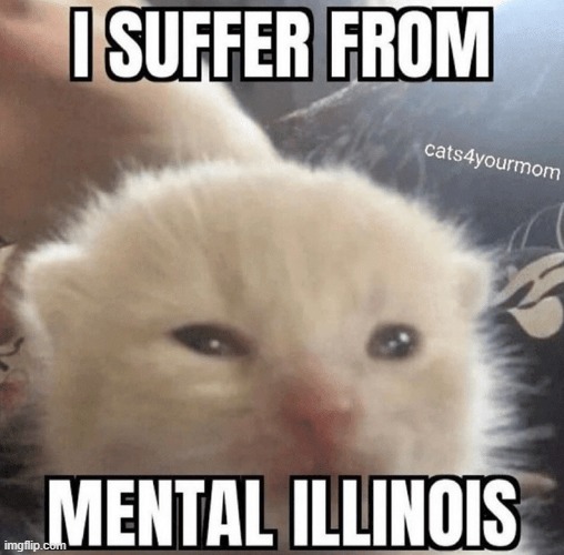 mental illinois | image tagged in mental illinois | made w/ Imgflip meme maker