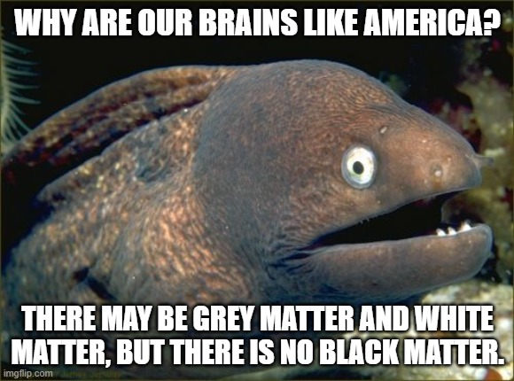 Bad Joke Eel | WHY ARE OUR BRAINS LIKE AMERICA? THERE MAY BE GREY MATTER AND WHITE MATTER, BUT THERE IS NO BLACK MATTER. | image tagged in memes,bad joke eel,racism | made w/ Imgflip meme maker