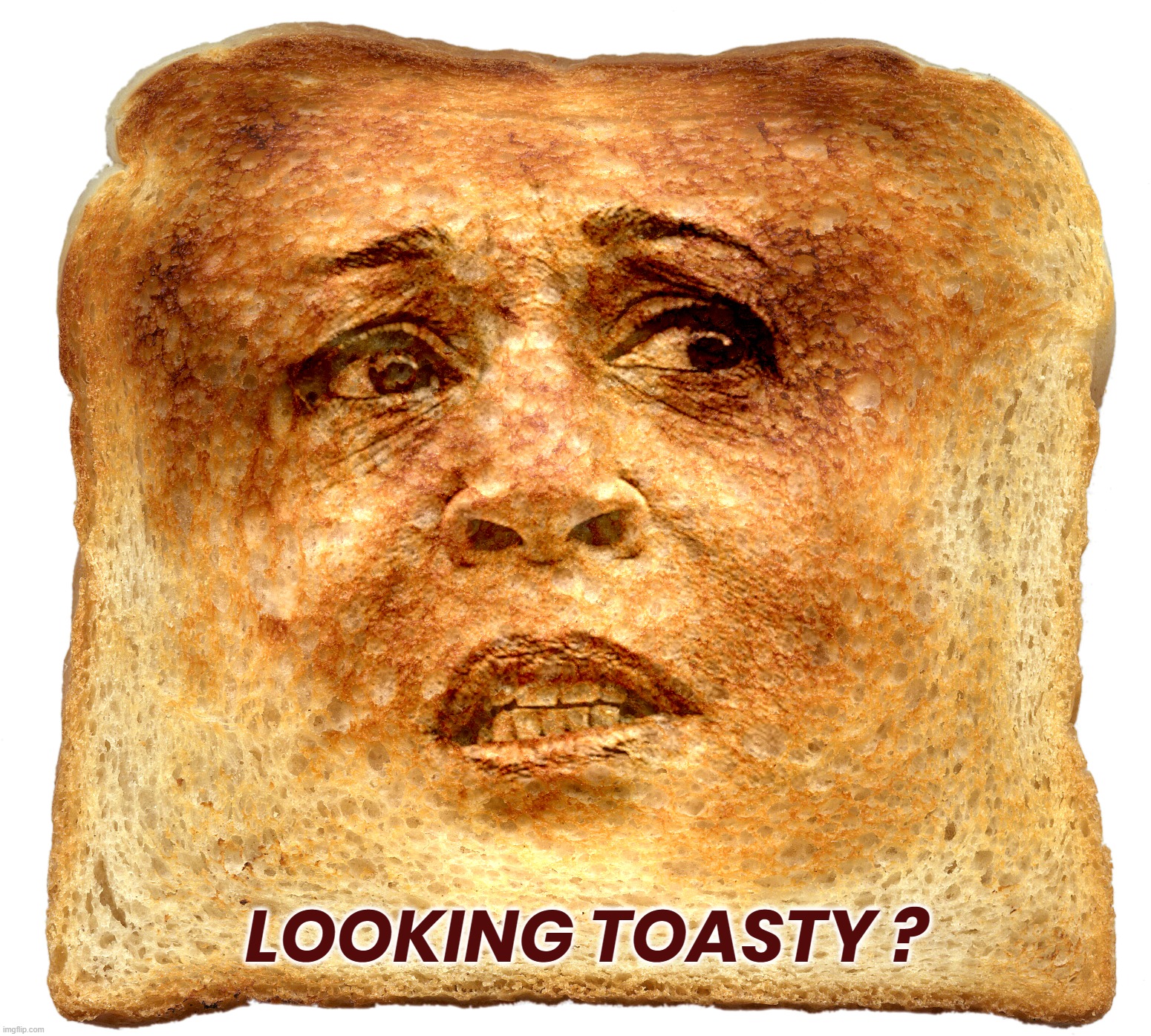 KAMALA TOAST | LOOKING TOASTY ? | image tagged in kamala harris,biden,coup,liar,disloyal,toast | made w/ Imgflip meme maker