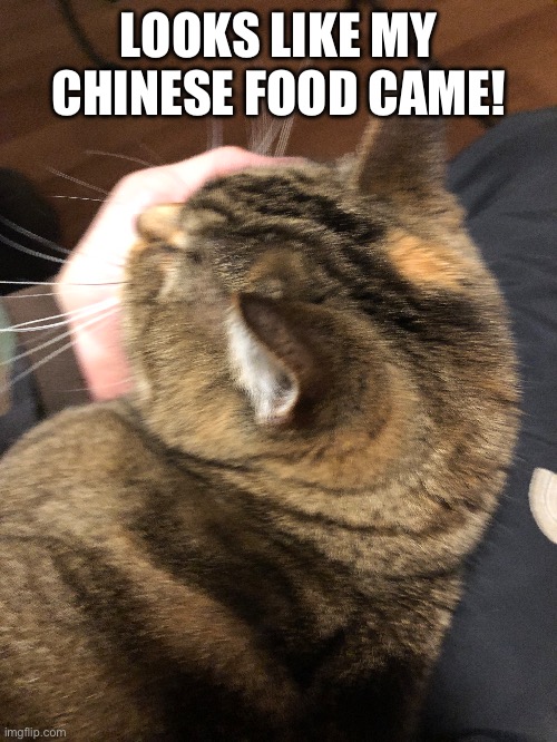 LOOKS LIKE MY CHINESE FOOD CAME! | made w/ Imgflip meme maker