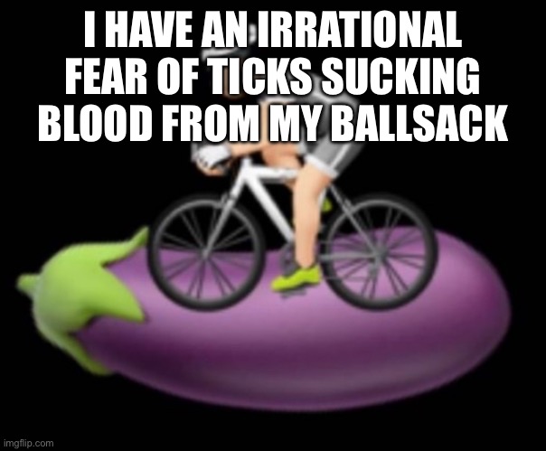 Dickriding | I HAVE AN IRRATIONAL FEAR OF TICKS SUCKING BLOOD FROM MY BALLSACK | image tagged in dickriding | made w/ Imgflip meme maker