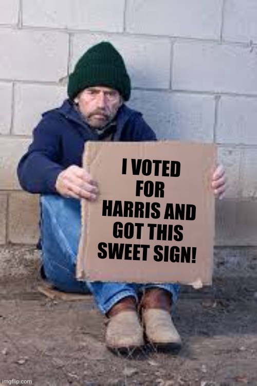 The American Middle Class Democrat's want for you Gen-Z. But as long as no one's offended, its ok right? | I VOTED FOR HARRIS AND GOT THIS SWEET SIGN! | image tagged in homeless sign,democrats,economics,they took our jobs,middle class,liberal logic | made w/ Imgflip meme maker