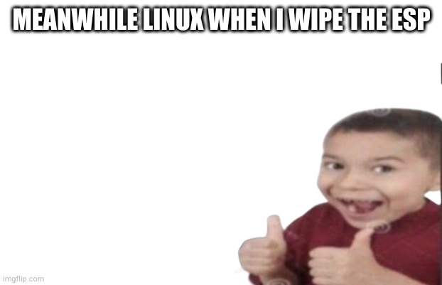 First degree murder | MEANWHILE LINUX WHEN I WIPE THE ESP | image tagged in first degree murder | made w/ Imgflip meme maker