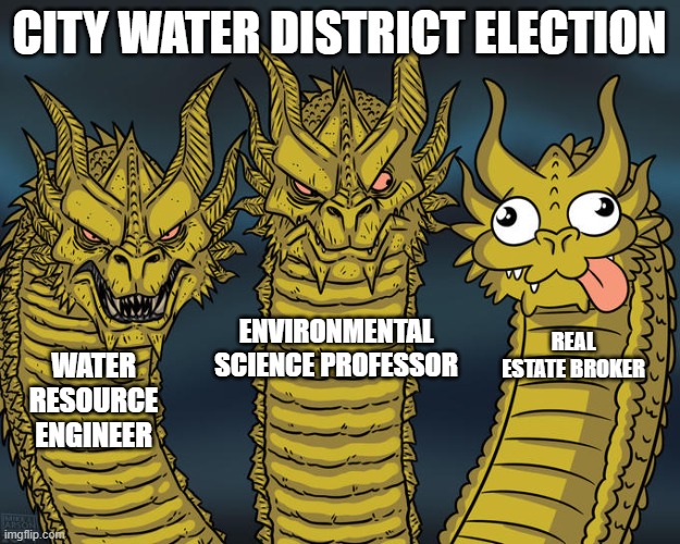 Three-headed Dragon | CITY WATER DISTRICT ELECTION; ENVIRONMENTAL SCIENCE PROFESSOR; REAL ESTATE BROKER; WATER RESOURCE ENGINEER | image tagged in three-headed dragon | made w/ Imgflip meme maker