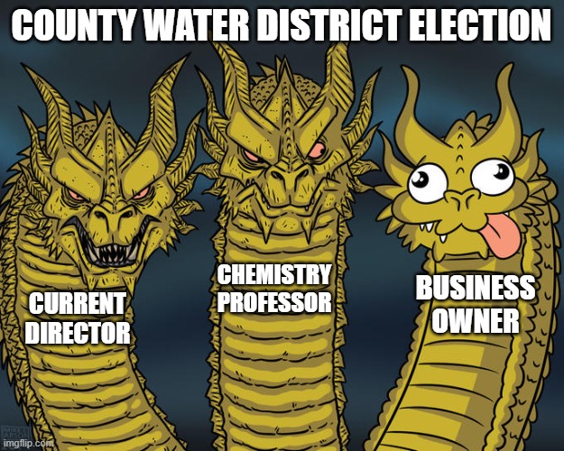 Three-headed Dragon | COUNTY WATER DISTRICT ELECTION; CHEMISTRY PROFESSOR; BUSINESS OWNER; CURRENT DIRECTOR | image tagged in three-headed dragon | made w/ Imgflip meme maker