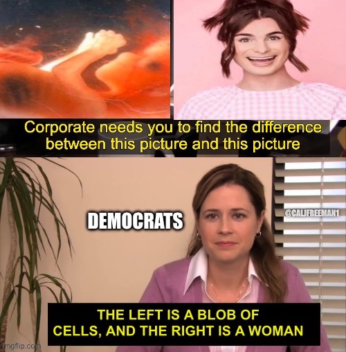 A leftist moral compass…. | image tagged in democrats,they're the same picture,they are the same picture,liberals,maga,kamala harris | made w/ Imgflip meme maker