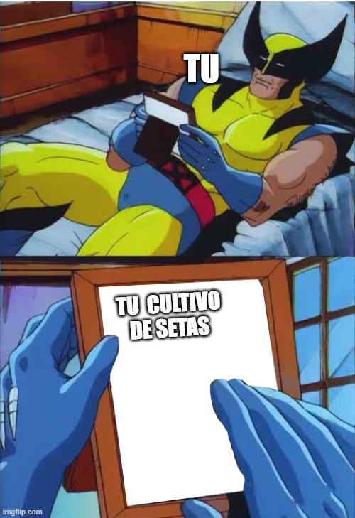 Wolverine Remember | TU; TU  CULTIVO DE SETAS | image tagged in wolverine remember | made w/ Imgflip meme maker