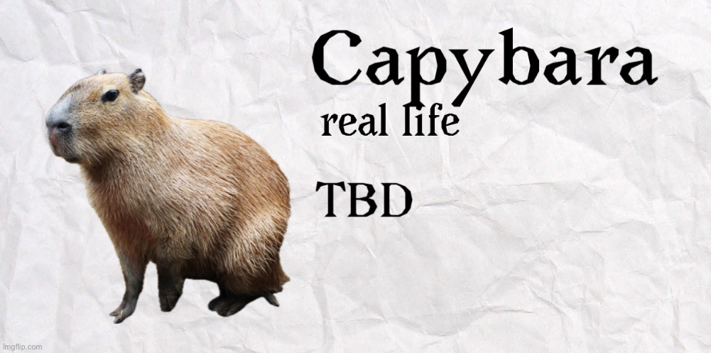 gn chat it’s late for me, I’m gonna leave you guys off with the second character reveal for CSDCODRCVVST (2/21) | made w/ Imgflip meme maker