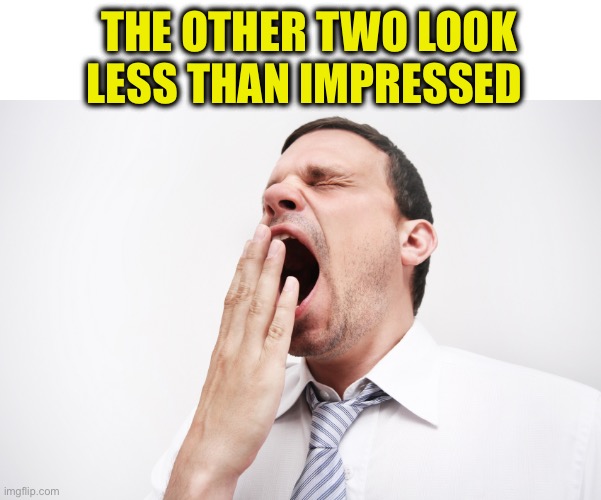 yawn | THE OTHER TWO LOOK LESS THAN IMPRESSED | image tagged in yawn | made w/ Imgflip meme maker