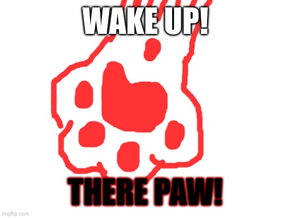 Wake up | WAKE UP! THERE PAW! | image tagged in cat | made w/ Imgflip meme maker