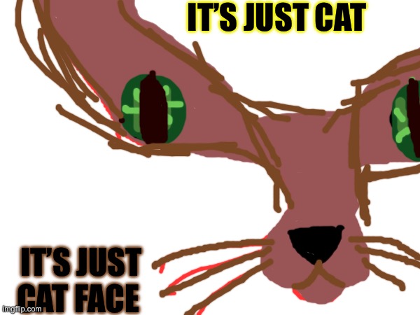 Cat | IT’S JUST CAT; IT’S JUST CAT FACE | made w/ Imgflip meme maker