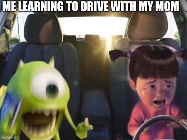 Oh god no | ME LEARNING TO DRIVE WITH MY MOM | image tagged in funny | made w/ Imgflip meme maker