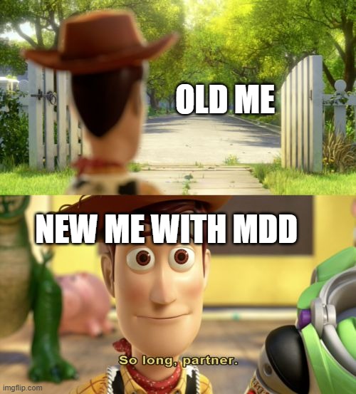 T-T | OLD ME; NEW ME WITH MDD | image tagged in so long partner | made w/ Imgflip meme maker