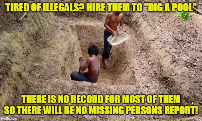 Real Problems require real solutions | TIRED OF ILLEGALS? HIRE THEM TO "DIG A POOL"; THERE IS NO RECORD FOR MOST OF THEM SO THERE WILL BE NO MISSING PERSONS REPORT! | image tagged in problem solved,problem solving,missing person,illegal immigration,maga,make america great again | made w/ Imgflip meme maker