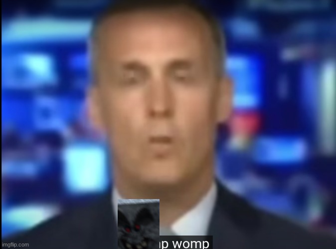 womp womp | image tagged in womp womp | made w/ Imgflip meme maker