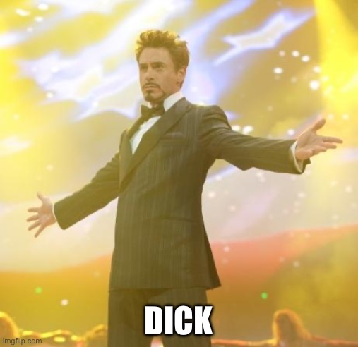 Robert Downey Jr Iron Man | DICK | image tagged in robert downey jr iron man | made w/ Imgflip meme maker