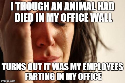 First World Problems Meme | I THOUGH AN ANIMAL HAD DIED IN MY OFFICE WALL TURNS OUT IT WAS MY EMPLOYEES FARTING IN MY OFFICE | image tagged in memes,first world problems | made w/ Imgflip meme maker