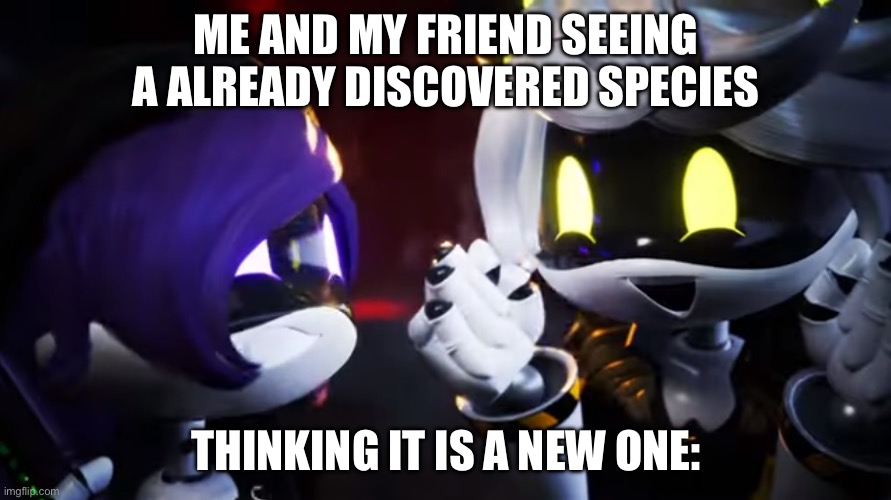 N and Uzi are happy | ME AND MY FRIEND SEEING A ALREADY DISCOVERED SPECIES; THINKING IT IS A NEW ONE: | image tagged in n and uzi are happy | made w/ Imgflip meme maker