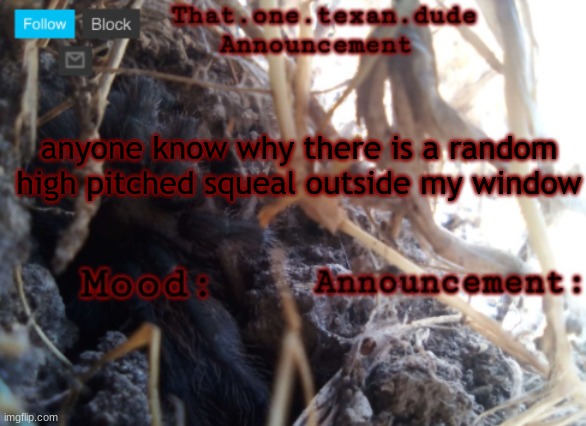 THE that.one.texan.dude announcement template | anyone know why there is a random high pitched squeal outside my window | image tagged in the that one texan dude announcement template | made w/ Imgflip meme maker