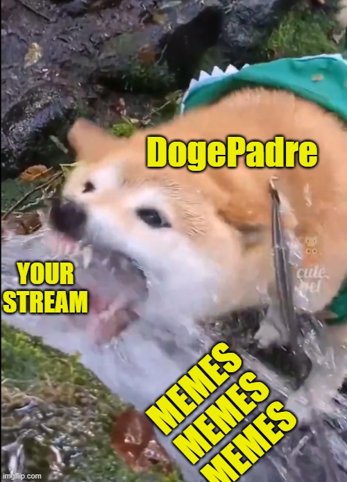 DogePadre philosophy! | DogePadre; YOUR
STREAM; MEMES
MEMES
MEMES | image tagged in memes,political meme,doge,flooding,maga,make america great again | made w/ Imgflip meme maker