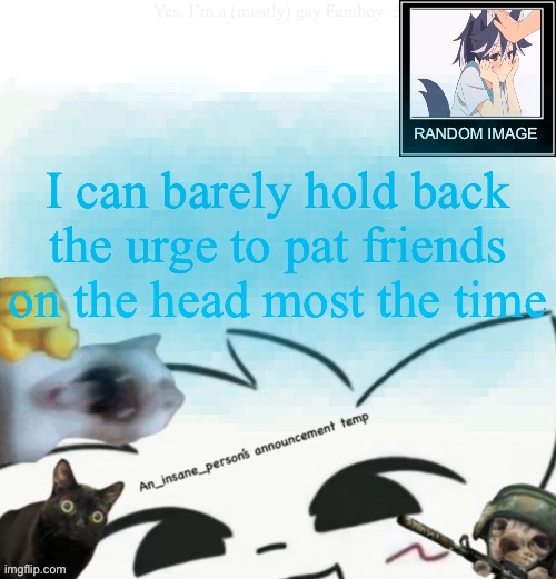 My lil announcement | I can barely hold back the urge to pat friends on the head most the time | image tagged in my lil announcement | made w/ Imgflip meme maker