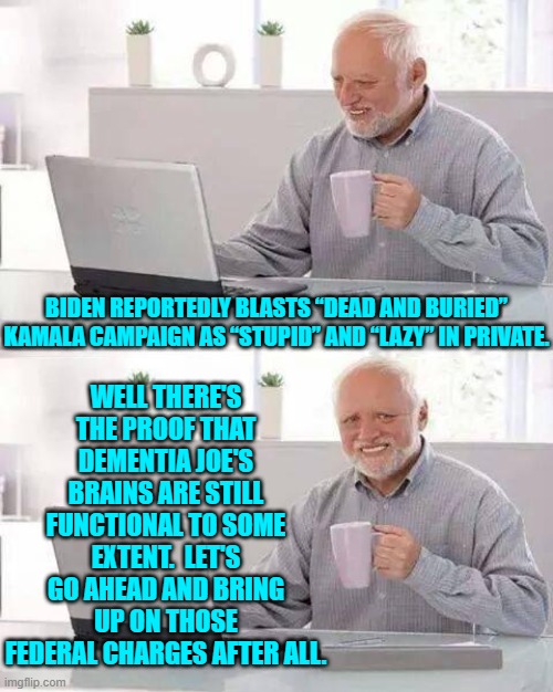 Kamala's campaign is imploding and her staff despises her.  Sounds about right. | WELL THERE'S THE PROOF THAT DEMENTIA JOE'S BRAINS ARE STILL FUNCTIONAL TO SOME EXTENT.  LET'S GO AHEAD AND BRING UP ON THOSE FEDERAL CHARGES AFTER ALL. BIDEN REPORTEDLY BLASTS “DEAD AND BURIED” KAMALA CAMPAIGN AS “STUPID” AND “LAZY” IN PRIVATE. | image tagged in hide the pain harold | made w/ Imgflip meme maker