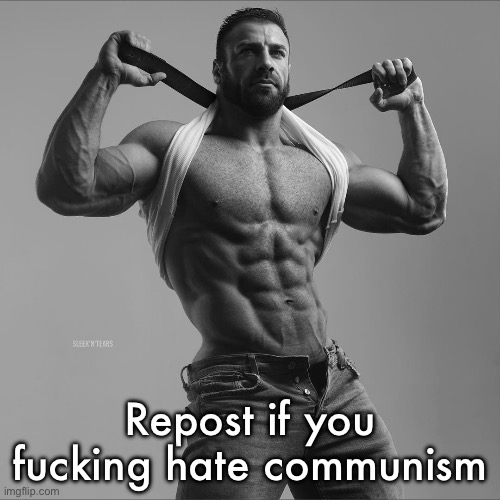 Elaborate | Repost if you fucking hate communism | image tagged in elaborate | made w/ Imgflip meme maker