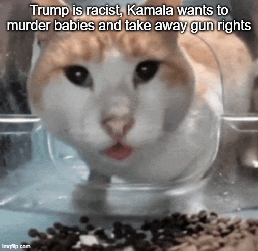 Mr Shock stare | Trump is racist, Kamala wants to murder babies and take away gun rights | image tagged in mr shock stare | made w/ Imgflip meme maker