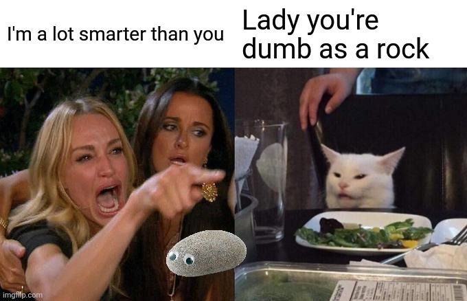 Rock | I'm a lot smarter than you; Lady you're dumb as a rock | image tagged in memes,woman yelling at cat,funny memes | made w/ Imgflip meme maker