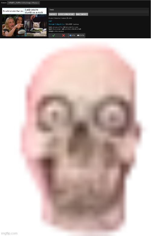 image tagged in springadingdong ass skull emoji | made w/ Imgflip meme maker