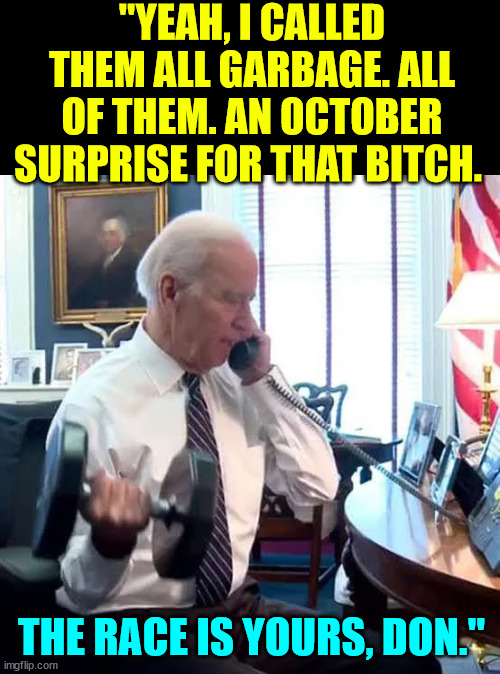 "YEAH, I CALLED THEM ALL GARBAGE. ALL OF THEM. AN OCTOBER SURPRISE FOR THAT BITCH. THE RACE IS YOURS, DON." | made w/ Imgflip meme maker