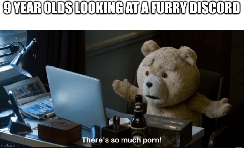 There's so much porn! | 9 YEAR OLDS LOOKING AT A FURRY DISCORD | image tagged in there's so much porn | made w/ Imgflip meme maker