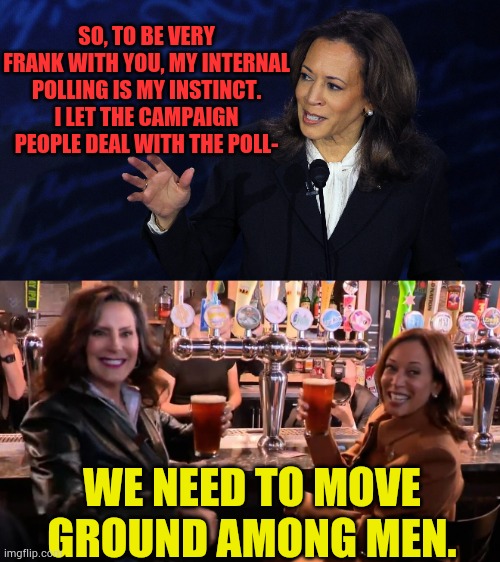 More Contradictions From Kamala | SO, TO BE VERY FRANK WITH YOU, MY INTERNAL POLLING IS MY INSTINCT. I LET THE CAMPAIGN PEOPLE DEAL WITH THE POLL-; WE NEED TO MOVE GROUND AMONG MEN. | image tagged in memes,politics,kamala harris,polls,more,contradiction | made w/ Imgflip meme maker