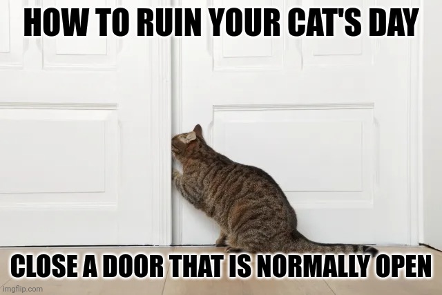 Cat and door | HOW TO RUIN YOUR CAT'S DAY; CLOSE A DOOR THAT IS NORMALLY OPEN | image tagged in cat and door | made w/ Imgflip meme maker