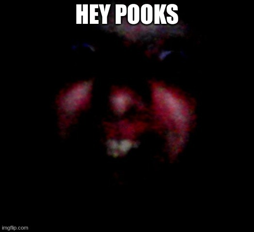 Nice to meat you | HEY POOKS | image tagged in nice to meat you | made w/ Imgflip meme maker