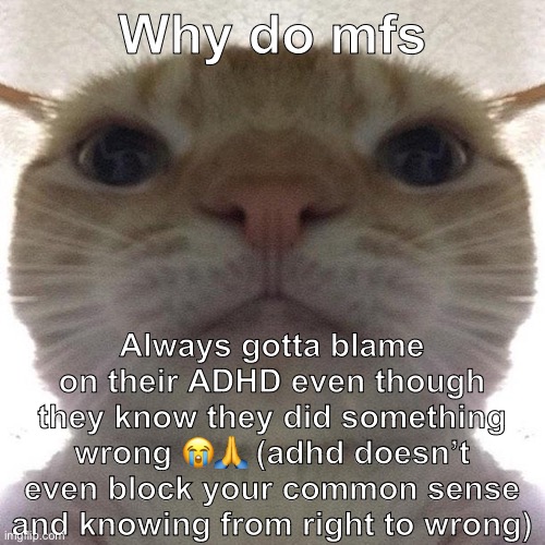 *cough* certain users in here and irl *cough* | Why do mfs; Always gotta blame on their ADHD even though they know they did something wrong 😭🙏 (adhd doesn’t even block your common sense and knowing from right to wrong) | image tagged in staring cat/gusic | made w/ Imgflip meme maker