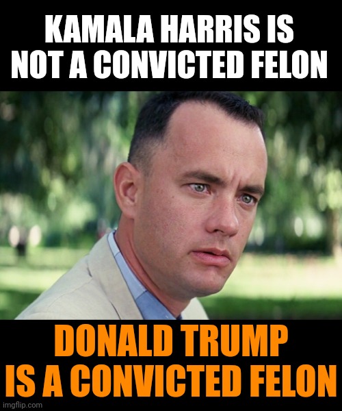 Funny How Maga Couldn't Find ANYTHING On Biden Or Harris Meanwhile Donald Trump IS A CONVICTED FELON.  Funny Because It's True | KAMALA HARRIS IS NOT A CONVICTED FELON; DONALD TRUMP IS A CONVICTED FELON | image tagged in memes,and just like that,donald trump is a convicted felon,donald trump is a convicted rapist,lock him up,scumbag trump | made w/ Imgflip meme maker